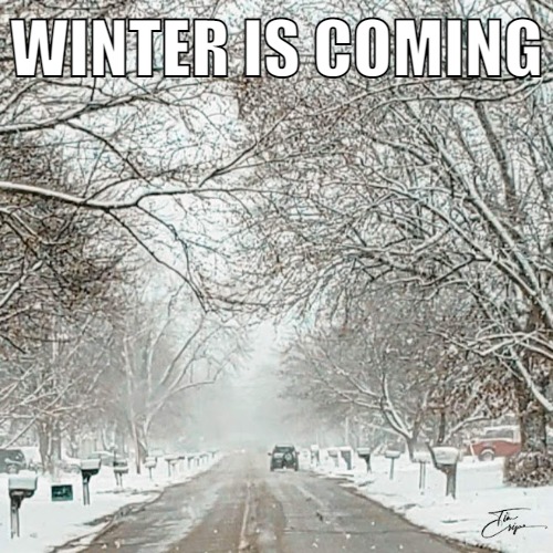 winter is coming | WINTER IS COMING | image tagged in winter is coming,winter | made w/ Imgflip meme maker