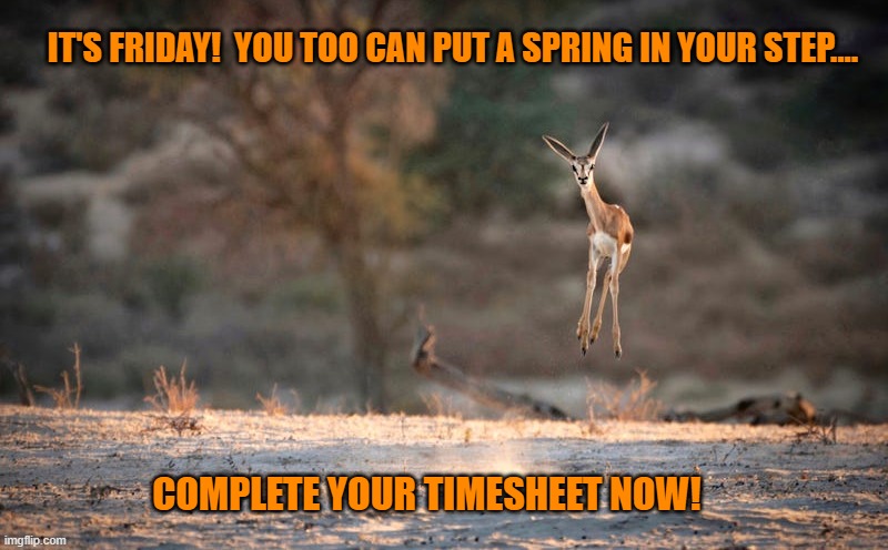 Springbok TImesheet Reminder | IT'S FRIDAY!  YOU TOO CAN PUT A SPRING IN YOUR STEP.... COMPLETE YOUR TIMESHEET NOW! | image tagged in springbok timesheet reminder,timesheet reminder,funny memes,meme,timesheet | made w/ Imgflip meme maker