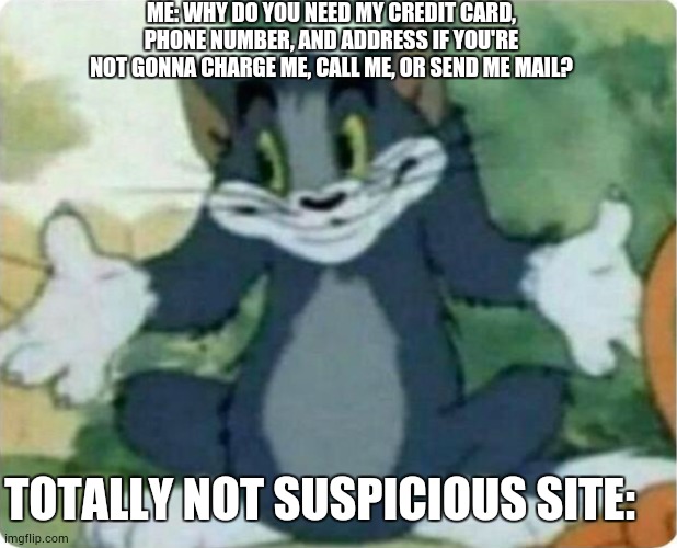 hmmmm..... | ME: WHY DO YOU NEED MY CREDIT CARD, PHONE NUMBER, AND ADDRESS IF YOU'RE NOT GONNA CHARGE ME, CALL ME, OR SEND ME MAIL? TOTALLY NOT SUSPICIOUS SITE: | image tagged in tom shrugging | made w/ Imgflip meme maker