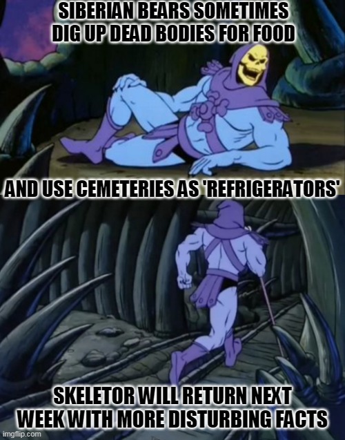 Disturbing Facts Skeletor |  SIBERIAN BEARS SOMETIMES DIG UP DEAD BODIES FOR FOOD; AND USE CEMETERIES AS 'REFRIGERATORS'; SKELETOR WILL RETURN NEXT WEEK WITH MORE DISTURBING FACTS | image tagged in sexy skeletor,skeletor running away | made w/ Imgflip meme maker