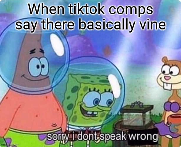 Shut the Frick up ya cheap copy of a master piece vine is a trillion times better | When tiktok comps say there basically vine | image tagged in sorry i don't speak wrong | made w/ Imgflip meme maker