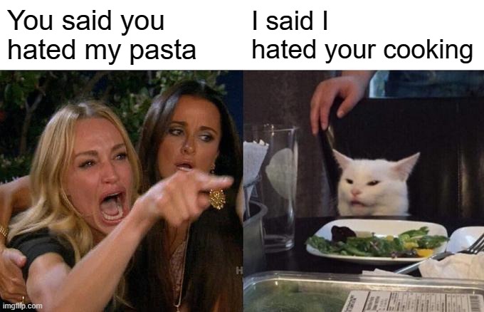 Woman Yelling At Cat | You said you hated my pasta; I said I hated your cooking | image tagged in memes,woman yelling at cat | made w/ Imgflip meme maker