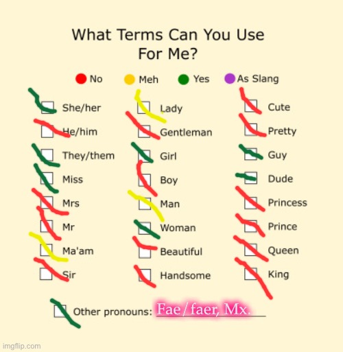 Pronouns Sheet | Fae/faer, Mx. | image tagged in pronouns sheet,demisexual_spongr | made w/ Imgflip meme maker