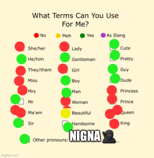 STUPID MF CALL THE WHOTEST NIGNA EVER | NIGNA 🥷🏿 | image tagged in pronouns sheet | made w/ Imgflip meme maker