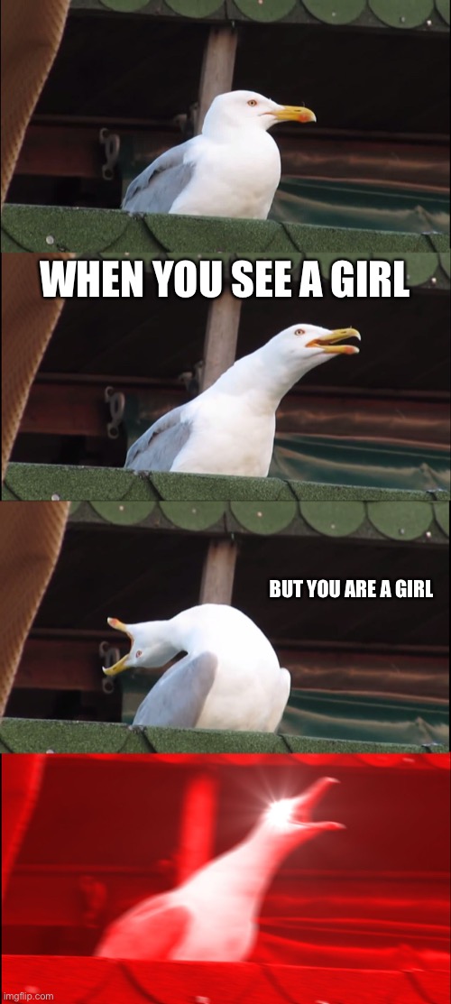 When you see a girl but you are a girl | WHEN YOU SEE A GIRL; BUT YOU ARE A GIRL | image tagged in memes,inhaling seagull | made w/ Imgflip meme maker