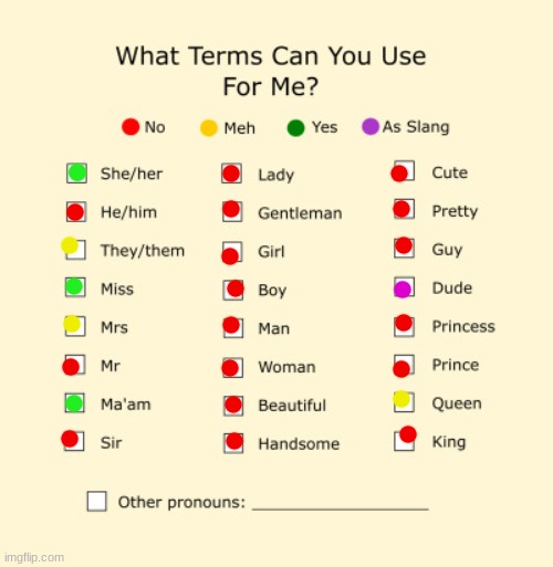 E | image tagged in pronouns sheet | made w/ Imgflip meme maker