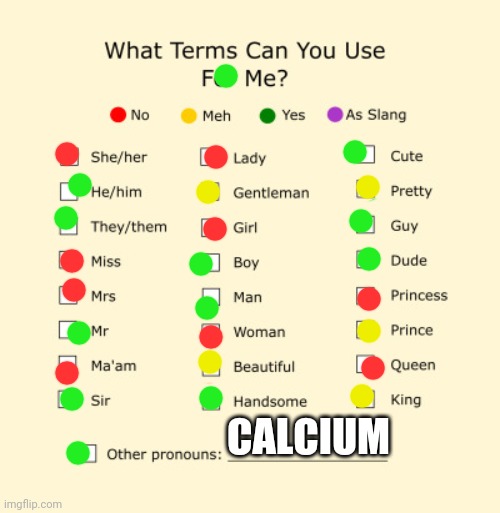 CALCIUM | CALCIUM | image tagged in pronouns sheet | made w/ Imgflip meme maker