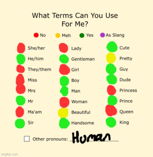 bc trend (also, huwoman is an option but it’s a red one for me :) | image tagged in pronouns sheet,funny,trend | made w/ Imgflip meme maker