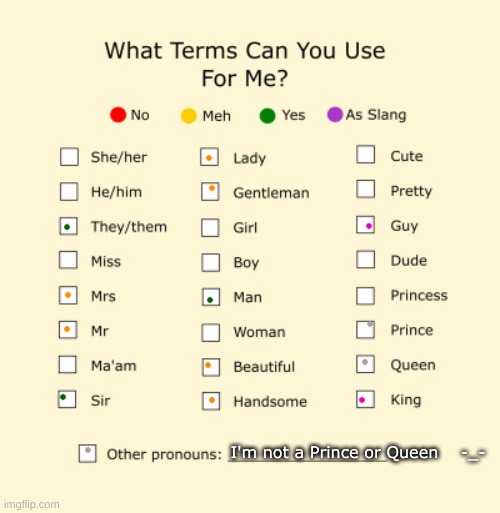 Pronouns Sheet | I'm not a Prince or Queen    -_- | image tagged in pronouns sheet | made w/ Imgflip meme maker