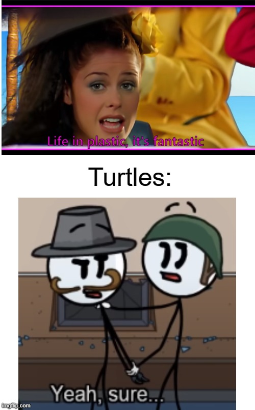 #SaveTheTurtles! | Turtles:; Life in plastic, it's fantastic | image tagged in barbie,barbie girl,henry stickmin,stickman,funny,memes | made w/ Imgflip meme maker