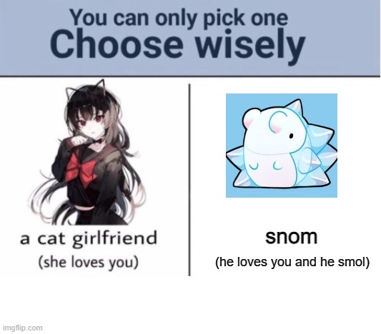 Choose wisely | snom; (he loves you and he smol) | image tagged in choose wisely | made w/ Imgflip meme maker