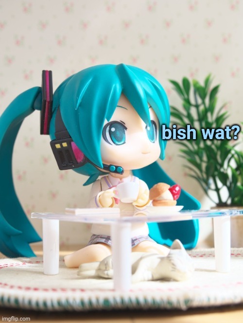 Bish wat? | image tagged in bish wat | made w/ Imgflip meme maker