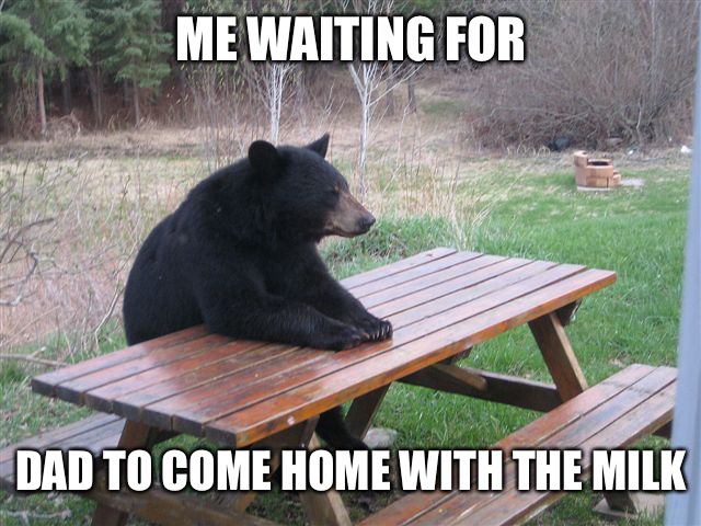 Patient Bear | ME WAITING FOR; DAD TO COME HOME WITH THE MILK | image tagged in patient bear | made w/ Imgflip meme maker