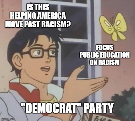 Democrat Racist Education | IS THIS HELPING AMERICA MOVE PAST RACISM? FOCUS PUBLIC EDUCATION ON RACISM; "DEMOCRAT" PARTY | image tagged in memes,is this a pigeon,education,school,racist,democratic party | made w/ Imgflip meme maker