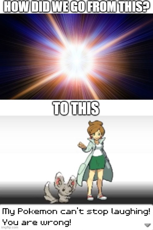 I've had enough with this meme template! | HOW DID WE GO FROM THIS? TO THIS | image tagged in blank white template,my pokemon can't stop laughing you are wrong,pokemon,big bang,memes,history | made w/ Imgflip meme maker
