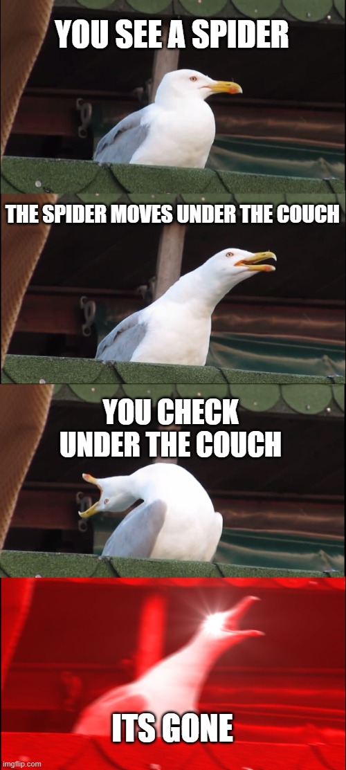 spider | YOU SEE A SPIDER; THE SPIDER MOVES UNDER THE COUCH; YOU CHECK UNDER THE COUCH; ITS GONE | image tagged in memes,inhaling seagull | made w/ Imgflip meme maker