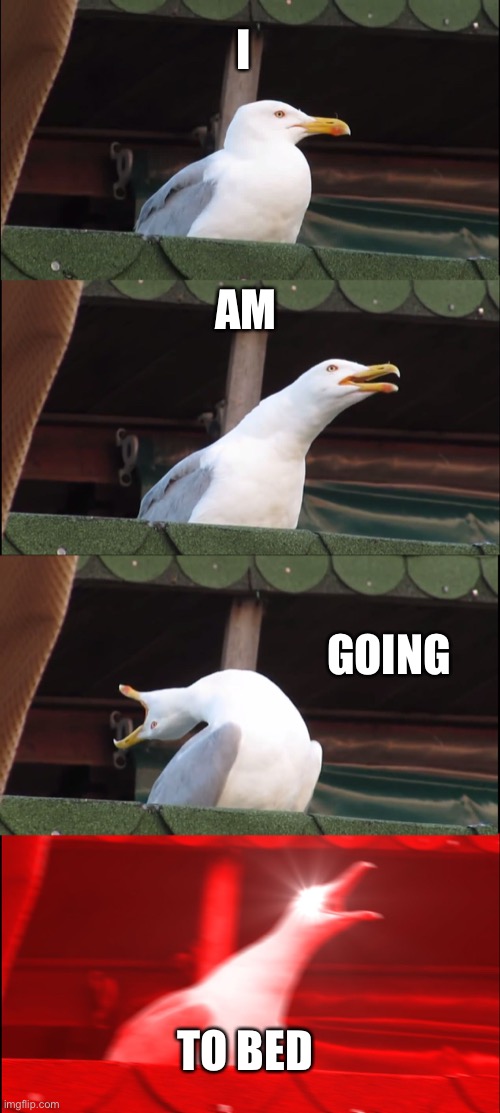 Kkais | I; AM; GOING; TO BED | image tagged in memes,inhaling seagull | made w/ Imgflip meme maker
