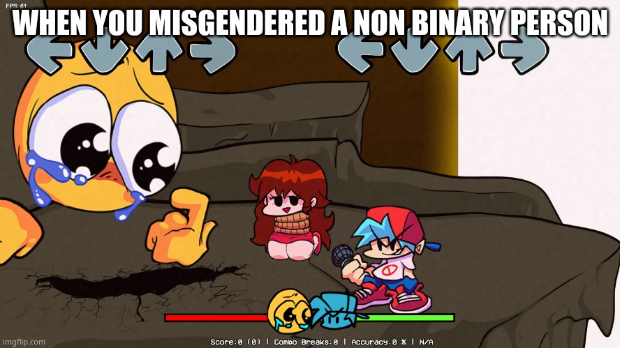 if you dont get the joke it's crying and ranting at the same time | WHEN YOU MISGENDERED A NON BINARY PERSON | made w/ Imgflip meme maker