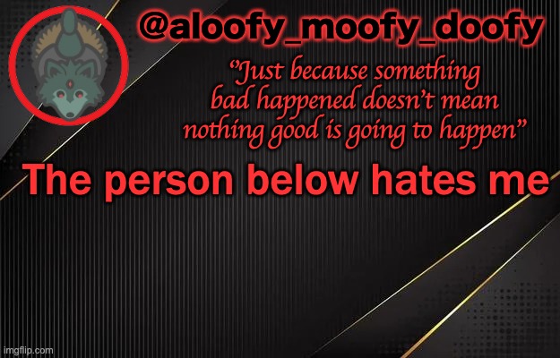 aloofy_moofy_doofy template | The person below hates me | image tagged in aloofy_moofy_doofy template | made w/ Imgflip meme maker