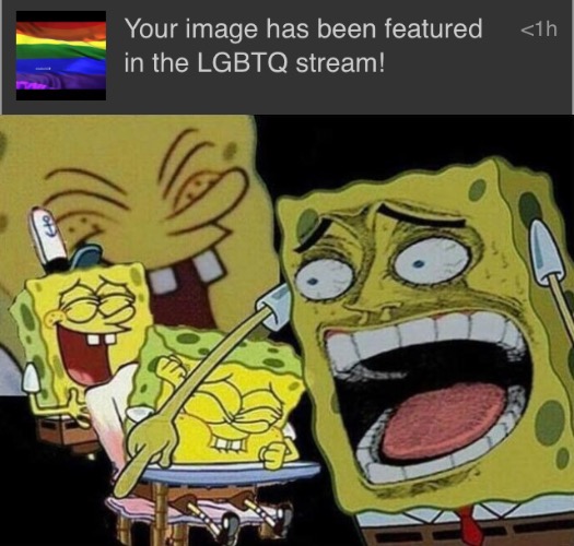 ITS NOT EVEN GAY | image tagged in spongebob laughing hysterically | made w/ Imgflip meme maker