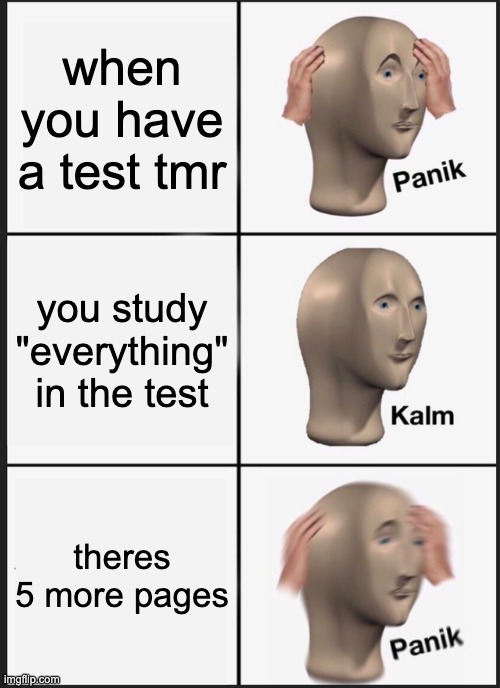 good luck buddy | when you have a test tmr; you study "everything" in the test; theres 5 more pages | image tagged in memes,panik kalm panik | made w/ Imgflip meme maker