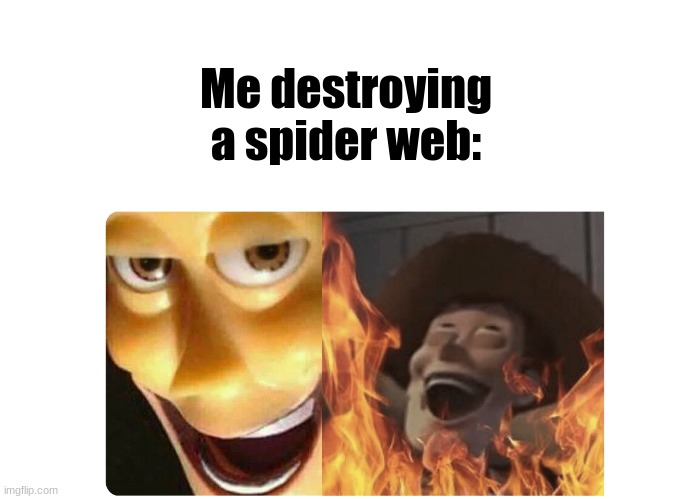 I love this format | Me destroying a spider web: | image tagged in satanic woody | made w/ Imgflip meme maker