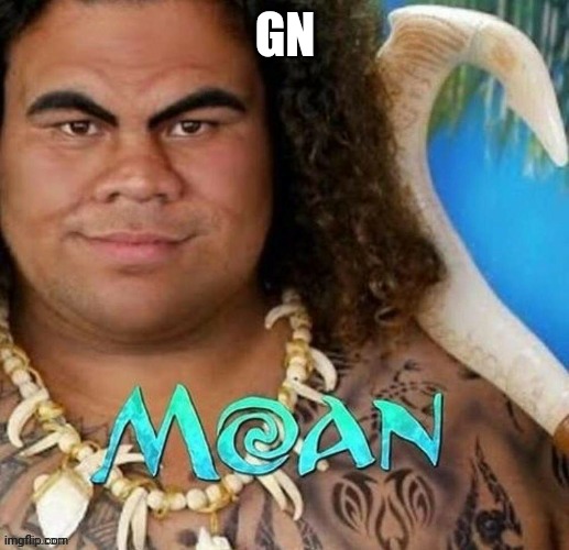 Moan | GN | image tagged in moan | made w/ Imgflip meme maker