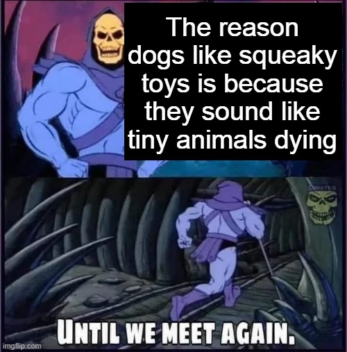 Until we meet again | The reason dogs like squeaky toys is because they sound like tiny animals dying | image tagged in until we meet again | made w/ Imgflip meme maker