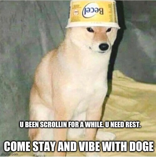 Come vibe with doge | U BEEN SCROLLIN FOR A WHILE. U NEED REST. COME STAY AND VIBE WITH DOGE | image tagged in doge,sussy baka,creme | made w/ Imgflip meme maker