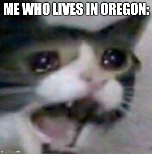 crying cat | ME WHO LIVES IN OREGON: | image tagged in crying cat | made w/ Imgflip meme maker