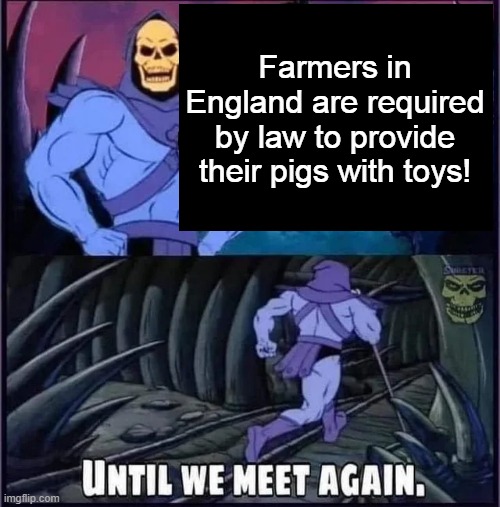Until we meet again | Farmers in England are required by law to provide their pigs with toys! | image tagged in until we meet again | made w/ Imgflip meme maker