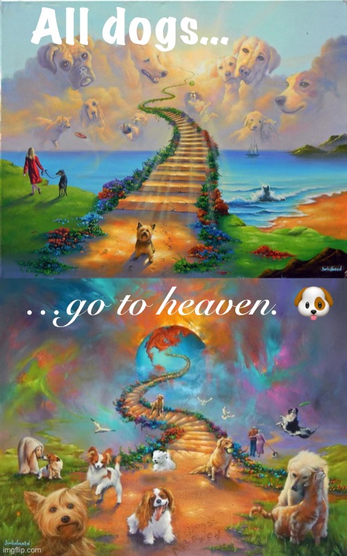 If you lost a furry friend, know they made it here :) | All dogs…; …go to heaven. 🐶 | image tagged in all dogs go to heaven,all,dogs,go,to,heaven | made w/ Imgflip meme maker