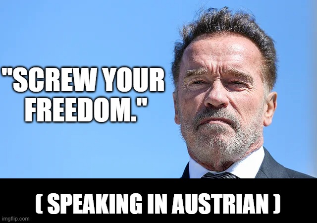 Ahnold tells anti-maskers... | "SCREW YOUR  FREEDOM."; ( SPEAKING IN AUSTRIAN ) | image tagged in ahnold | made w/ Imgflip meme maker