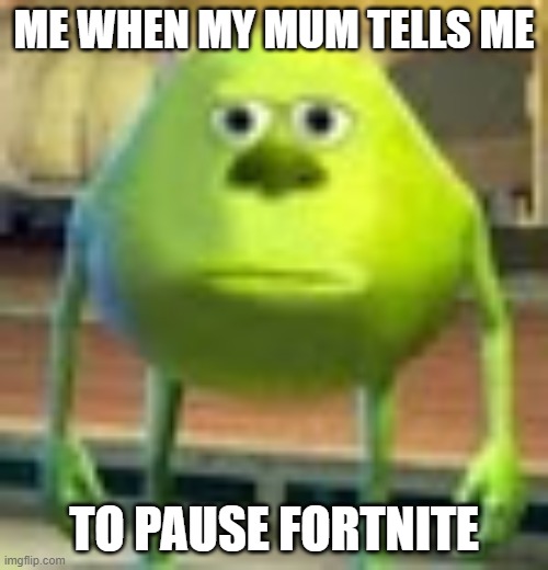 online games be like | ME WHEN MY MUM TELLS ME; TO PAUSE FORTNITE | image tagged in sully wazowski | made w/ Imgflip meme maker