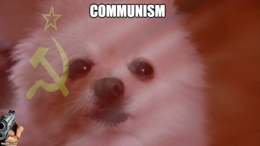 communism doggo | COMMUNISM | image tagged in communism,dog | made w/ Imgflip meme maker
