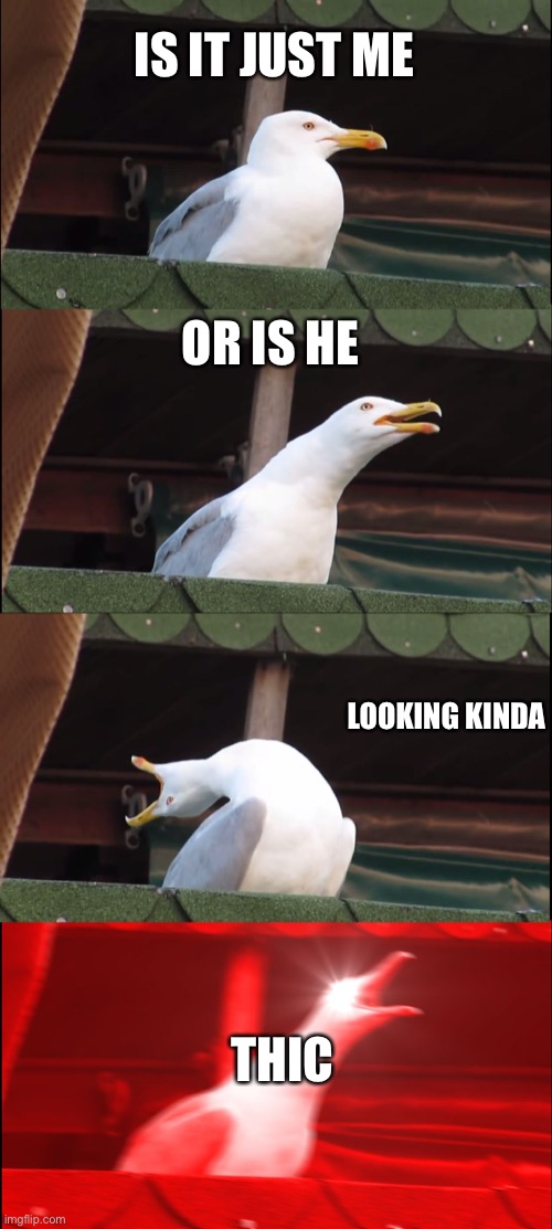 Inhaling Seagull | IS IT JUST ME; OR IS HE; LOOKING KINDA; THIC | image tagged in memes,inhaling seagull | made w/ Imgflip meme maker