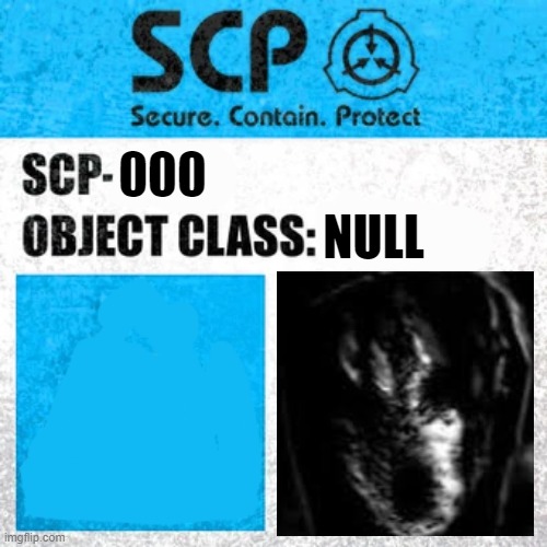 SCP Label Template: Explained | 000; NULL | image tagged in scp label template explained | made w/ Imgflip meme maker
