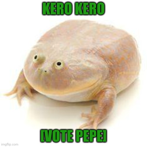 Wednesday Frog Blank | KERO KERO [VOTE PEPE] | image tagged in wednesday frog blank | made w/ Imgflip meme maker