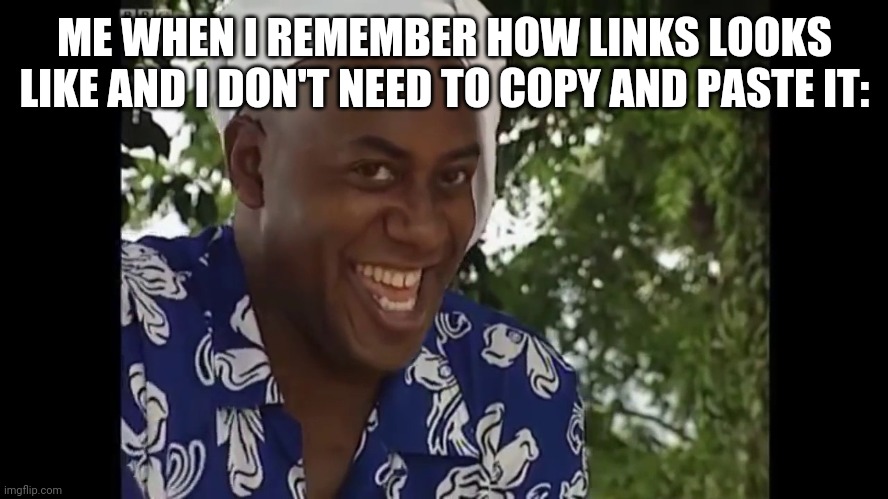 hehe boi | ME WHEN I REMEMBER HOW LINKS LOOKS LIKE AND I DON'T NEED TO COPY AND PASTE IT: | image tagged in hehe boi | made w/ Imgflip meme maker