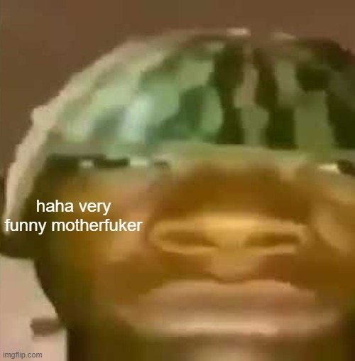 shitpost | haha very funny motherfuker | image tagged in shitpost | made w/ Imgflip meme maker