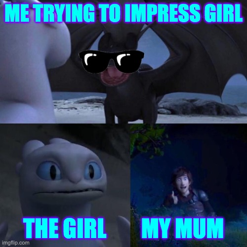 Toothless presents himself | ME TRYING TO IMPRESS GIRL; THE GIRL        MY MUM | image tagged in toothless presents himself | made w/ Imgflip meme maker