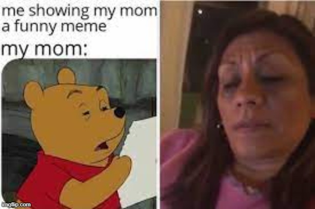 my mom | image tagged in memes | made w/ Imgflip meme maker