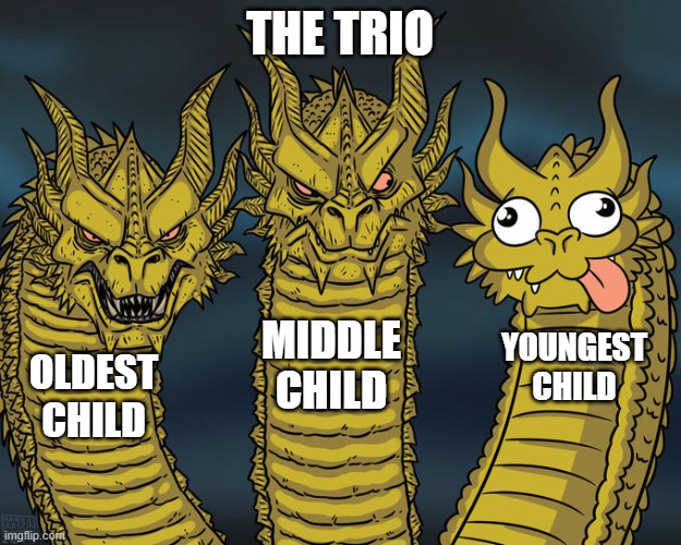 Three-headed Dragon | THE TRIO; MIDDLE CHILD; YOUNGEST CHILD; OLDEST CHILD | image tagged in three-headed dragon | made w/ Imgflip meme maker