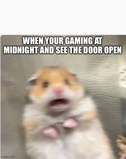 Gaming at night | WHEN YOUR GAMING AT MIDNIGHT AND SEE THE DOOR OPEN | image tagged in paniked hamster | made w/ Imgflip meme maker