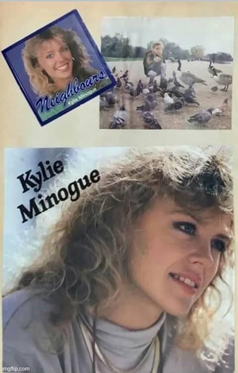 Kylie geese | image tagged in kylie geese | made w/ Imgflip meme maker