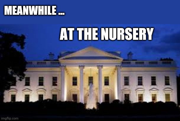 ... Mama Gonna Buy Me A Mockingbird  ... | MEANWHILE ... AT THE NURSERY | image tagged in joe biden,kamala harris,donald trump,republicans,political meme,politics | made w/ Imgflip meme maker