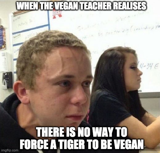 Vegan Vain | WHEN THE VEGAN TEACHER REALISES; THERE IS NO WAY TO FORCE A TIGER TO BE VEGAN | image tagged in vegan vain | made w/ Imgflip meme maker