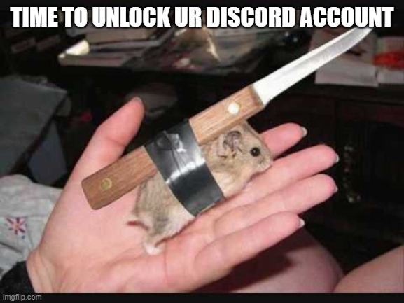 Lock and Load Hamster | TIME TO UNLOCK UR DISCORD ACCOUNT | image tagged in lock and load hamster | made w/ Imgflip meme maker