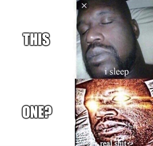 i sleep real shit | THIS ONE? | image tagged in i sleep real shit | made w/ Imgflip meme maker