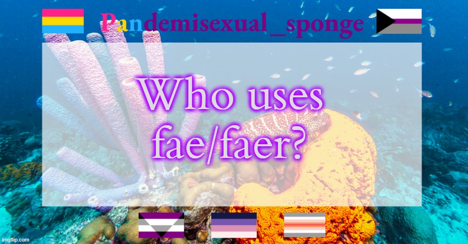 I'm trying out these pronouns | Who uses fae/faer? | image tagged in pandemisexual_sponge temp,demisexual_sponge | made w/ Imgflip meme maker